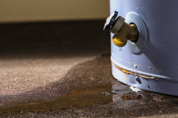 Best Professional water damage repair  in USA